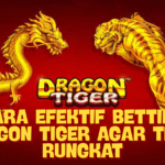 Cara Efektif Betting Dragon